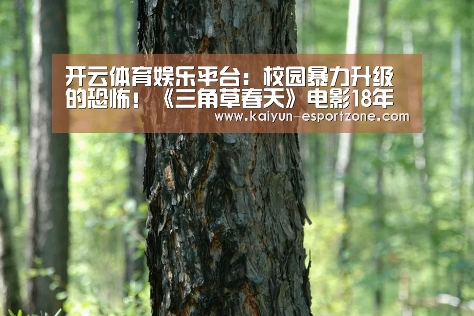 开云综合娱乐平台